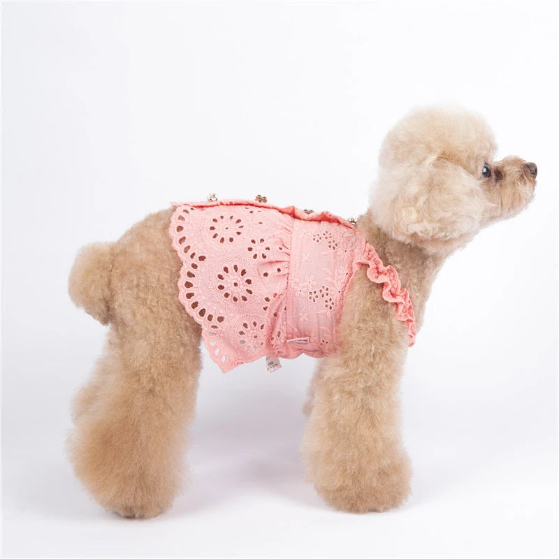 Cat Skirt Dog Dress Summer Pet Clothes Puppy Clothing Dresses Chihuahua Yorkshire Terrier Yorkies Pomeranian Poodle Pet Costumes - MYFURRY FLUFFY