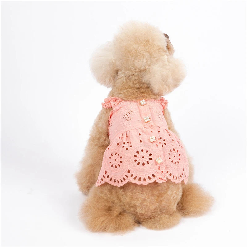 Cat Skirt Dog Dress Summer Pet Clothes Puppy Clothing Dresses Chihuahua Yorkshire Terrier Yorkies Pomeranian Poodle Pet Costumes - MYFURRY FLUFFY