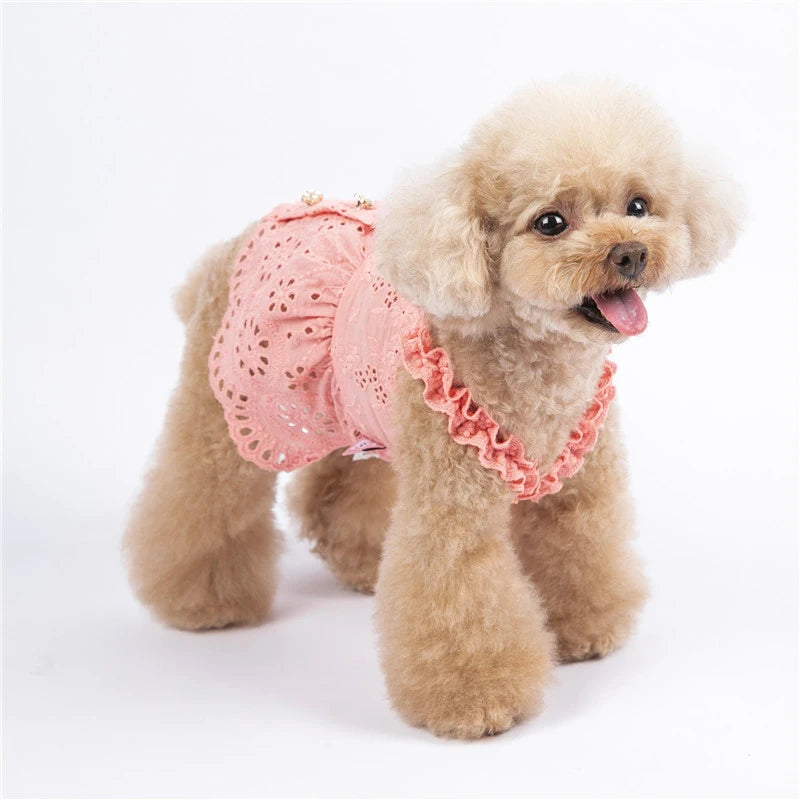 Cat Skirt Dog Dress Summer Pet Clothes Puppy Clothing Dresses Chihuahua Yorkshire Terrier Yorkies Pomeranian Poodle Pet Costumes - MYFURRY FLUFFY