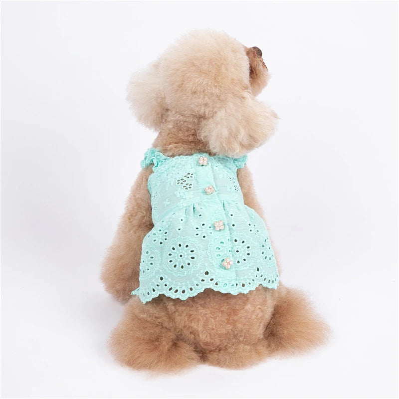 Cat Skirt Dog Dress Summer Pet Clothes Puppy Clothing Dresses Chihuahua Yorkshire Terrier Yorkies Pomeranian Poodle Pet Costumes - MYFURRY FLUFFY