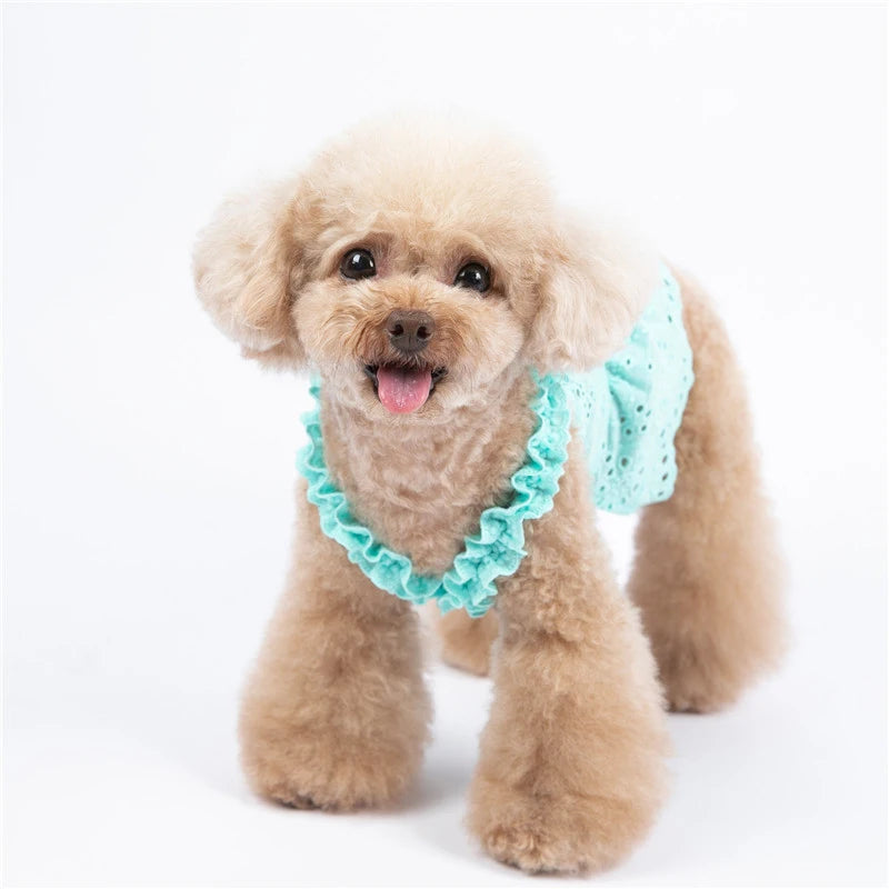 Cat Skirt Dog Dress Summer Pet Clothes Puppy Clothing Dresses Chihuahua Yorkshire Terrier Yorkies Pomeranian Poodle Pet Costumes - MYFURRY FLUFFY