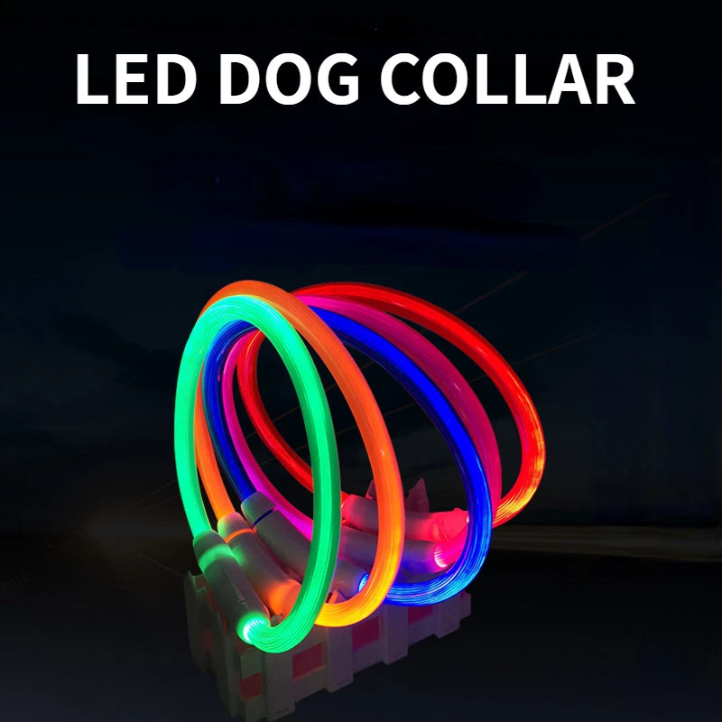 LED Pet Luminous Collar USB Charging Collar Teddy Anti Lost Collar Dog Cat Accessories Supplies - MYFURRY FLUFFY