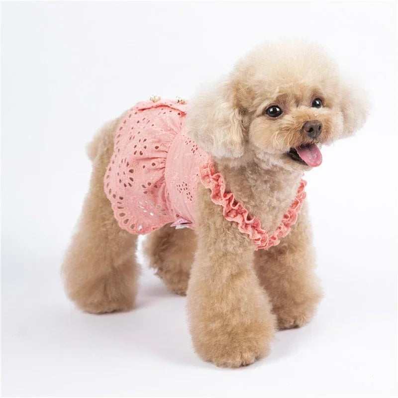 Cat Skirt Dog Dress Summer Pet Clothes Puppy Clothing Dresses Chihuahua Yorkshire Terrier Yorkies Pomeranian Poodle Pet Costumes - MYFURRY FLUFFY