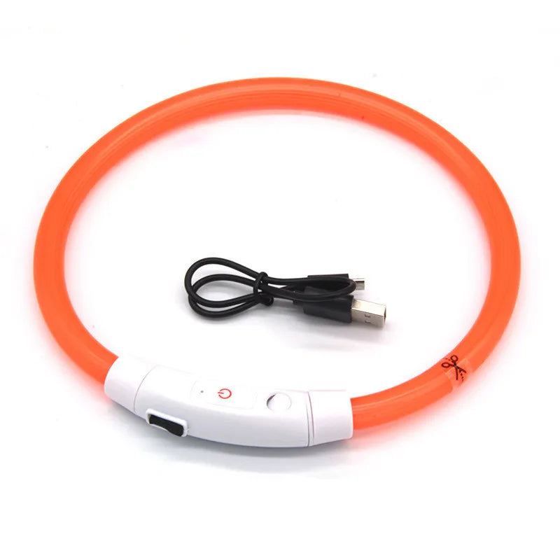LED Pet Luminous Collar USB Charging Collar Teddy Anti Lost Collar Dog Cat Accessories Supplies - MYFURRY FLUFFY