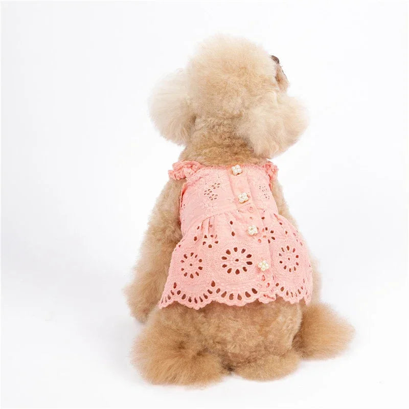 Cat Skirt Dog Dress Summer Pet Clothes Puppy Clothing Dresses Chihuahua Yorkshire Terrier Yorkies Pomeranian Poodle Pet Costumes - MYFURRY FLUFFY