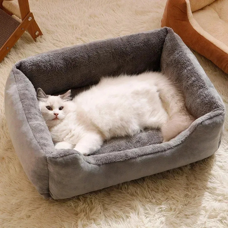 Bed for Cats Pet Products Cushions Kitten Goods Accessories Dog All Houses Supplies Things Accessory Habitats Basket House Beds - MYFURRY FLUFFY
