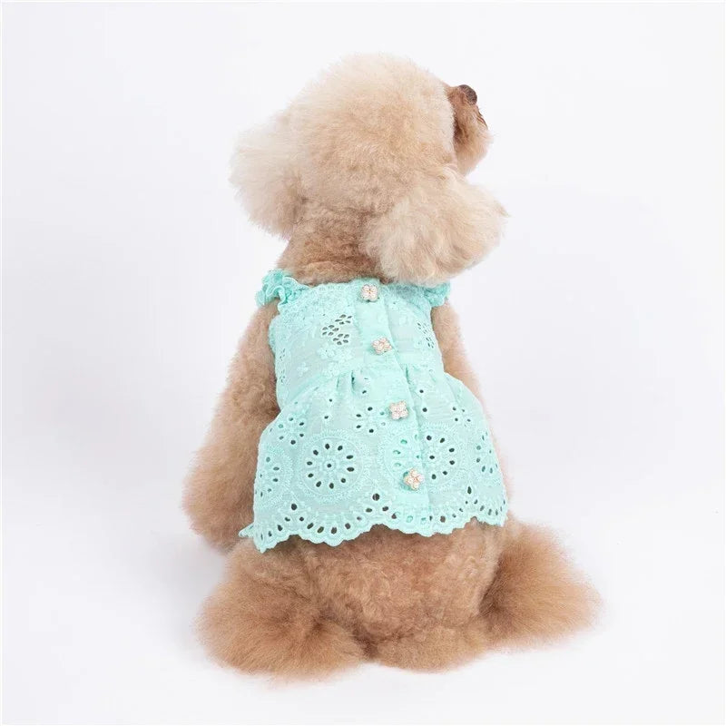 Cat Skirt Dog Dress Summer Pet Clothes Puppy Clothing Dresses Chihuahua Yorkshire Terrier Yorkies Pomeranian Poodle Pet Costumes - MYFURRY FLUFFY